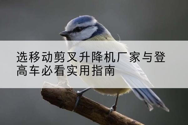 洛宁电动升降机厂家-选移动剪叉升降机厂家与登高车必看实用指南
