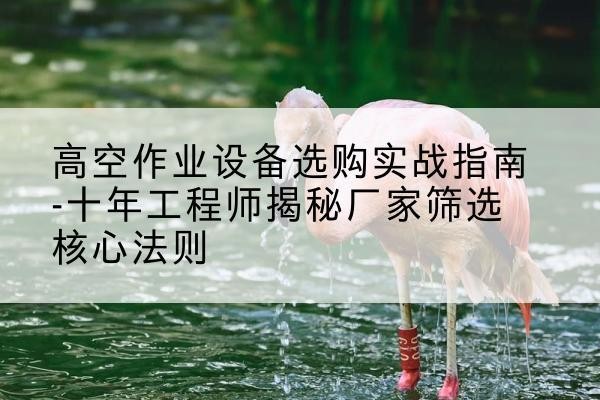 洛宁剪叉式升降机厂家-高空作业设备选购实战指南-十年工程师揭秘厂家筛选核心法则
