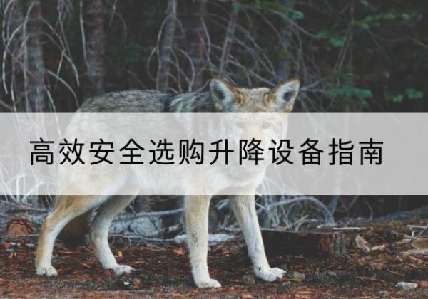 洛宁升降货梯厂家推荐-*安全选购升降设备指南