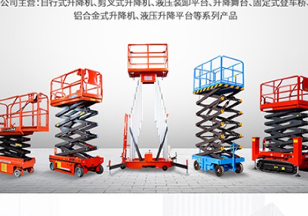 洛宁​出口成为核心增长引擎