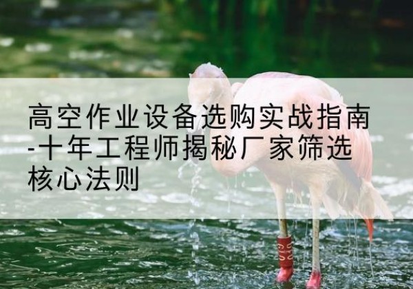 洛宁剪叉式升降机厂家-高空作业设备选购实战指南-十年工程师揭秘厂家筛选核心法则